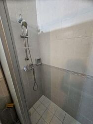 Neo Pee Teck Lane (D5), Semi-Detached #576489751